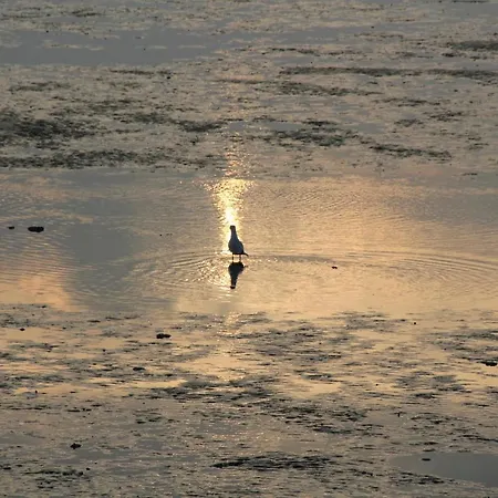 Huus Ant Deep Og Greetsiel Διαμέρισμα